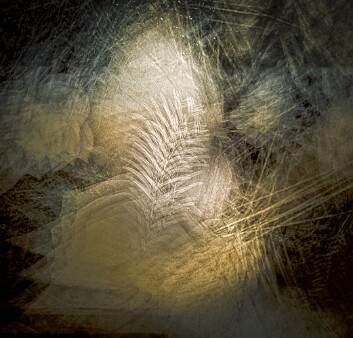 debris-1