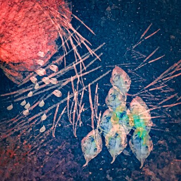 debris-10