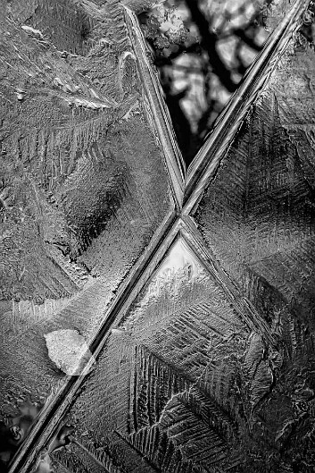 Puddle ice9a