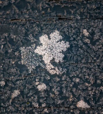 Snowflake1
