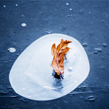 icy-15