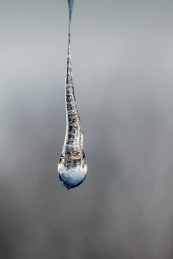 icy-16