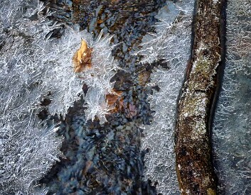icy-6