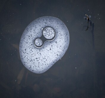 pond ice17