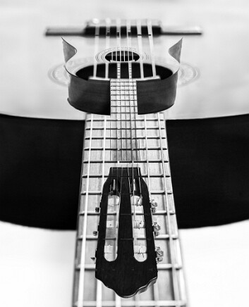 Guitar ME1