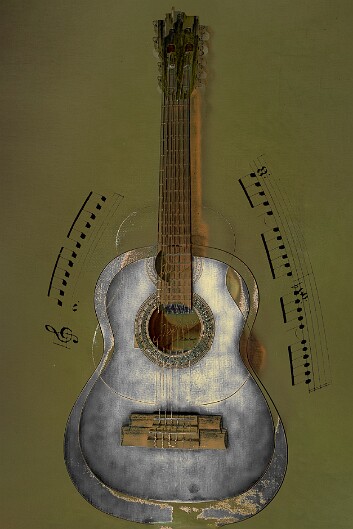 Guitar ME21b