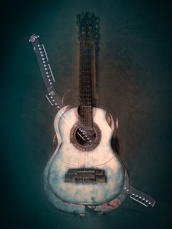 Guitar ME21g