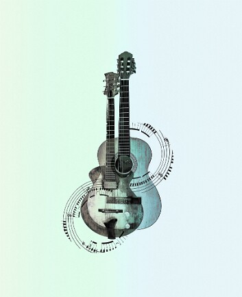 Guitar ME23b