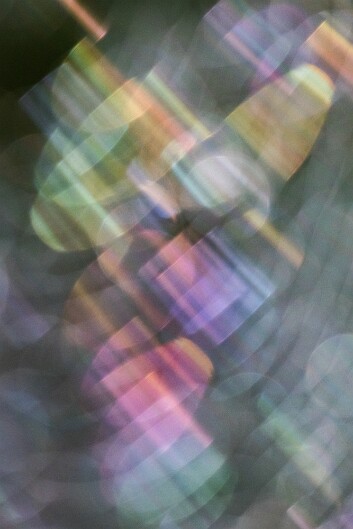 untitled-4